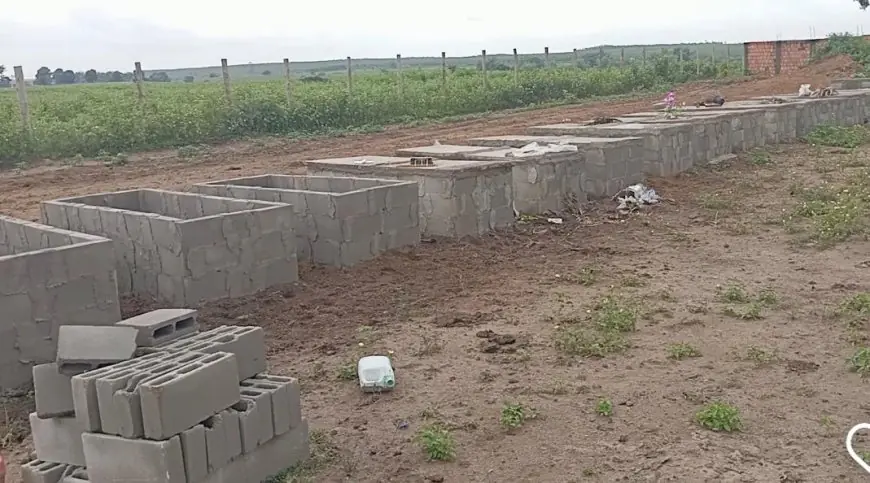 Abandono no Cemitério Novo de Nanuque: Animais Invadem Túmulos e Moradores Denunciam Descaso